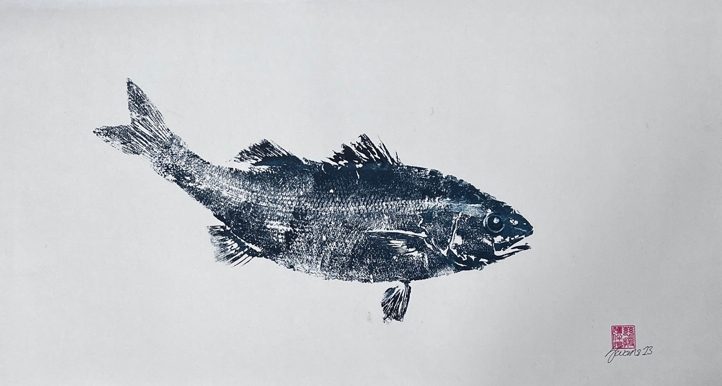 Anglesey Sea Bass Gyotaku Print