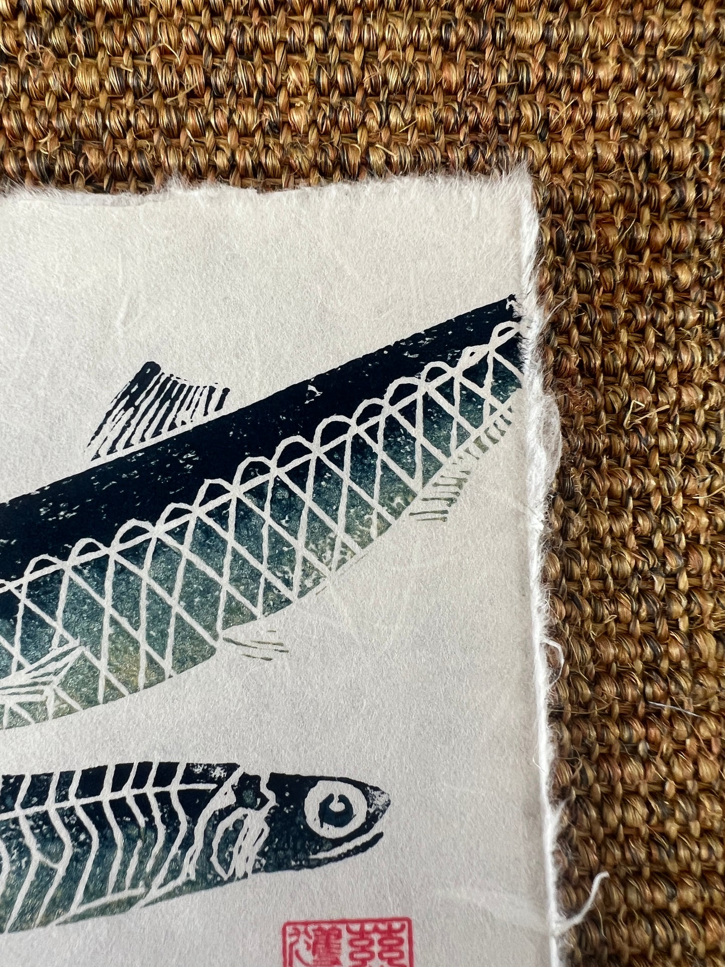 6 x 6 Inch Sardine &amp; Anchovy Print – Linotaku Mini Marine Wall Art