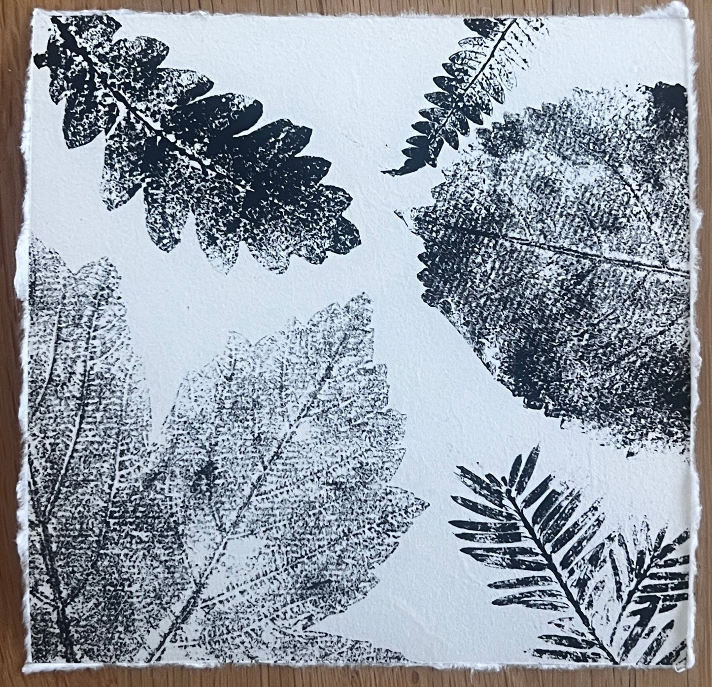 Coed Cyrnol Leaf Print – Black Ink on Thai Mulberry Paper