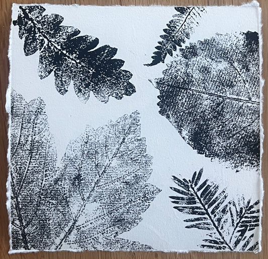 Coed Cyrnol Leaf Print – Black Ink on Thai Mulberry Paper