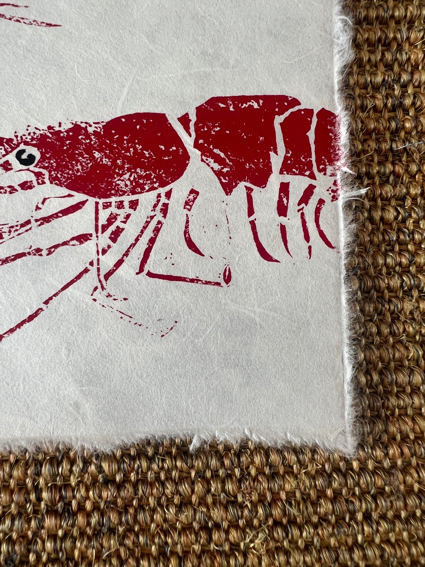 6 x 6 Inch Prawn Print – Linotaku Mini Marine Wall Art