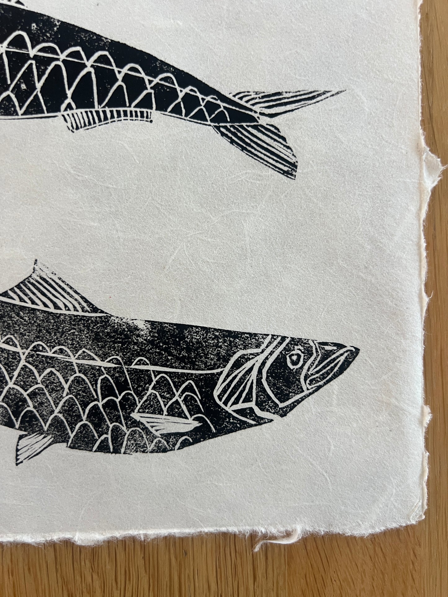 10 x 10 Inch Sardines Print – Linotaku Marine Wall Art