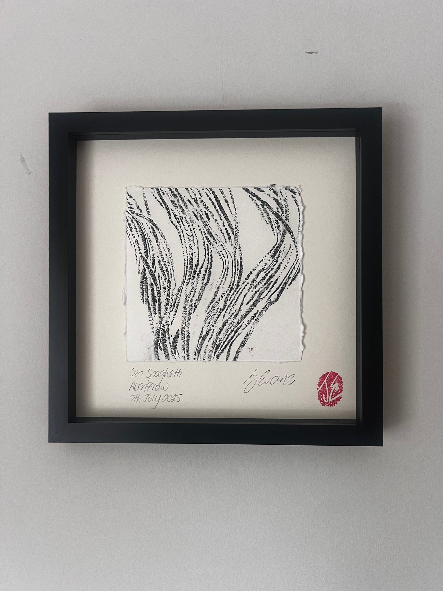 Sea Spaghetti