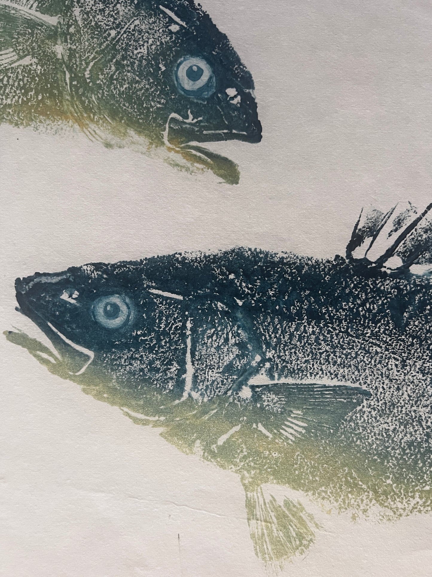 Anglesey Sea Bass Duo Gyotaku