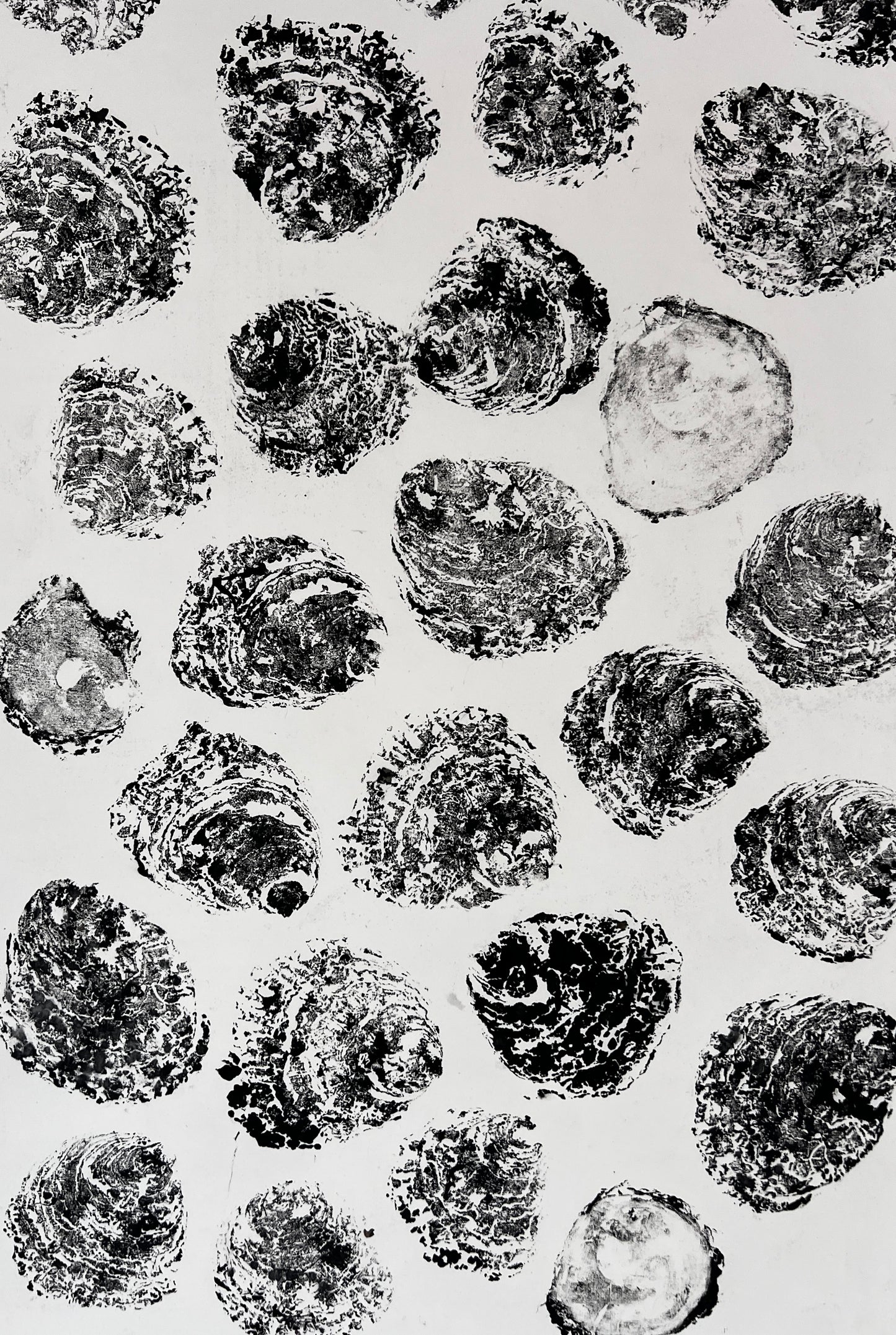 Gyotaku of Native Oyster Shells