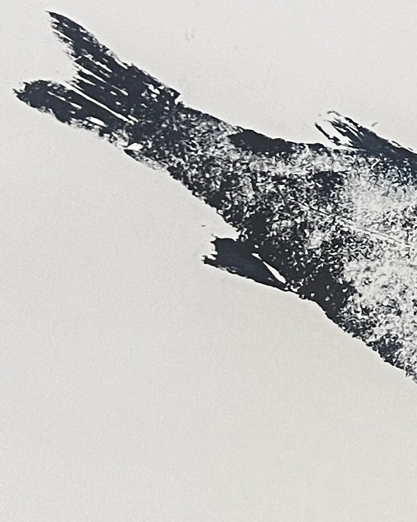 Anglesey Sea Bass Gyotaku