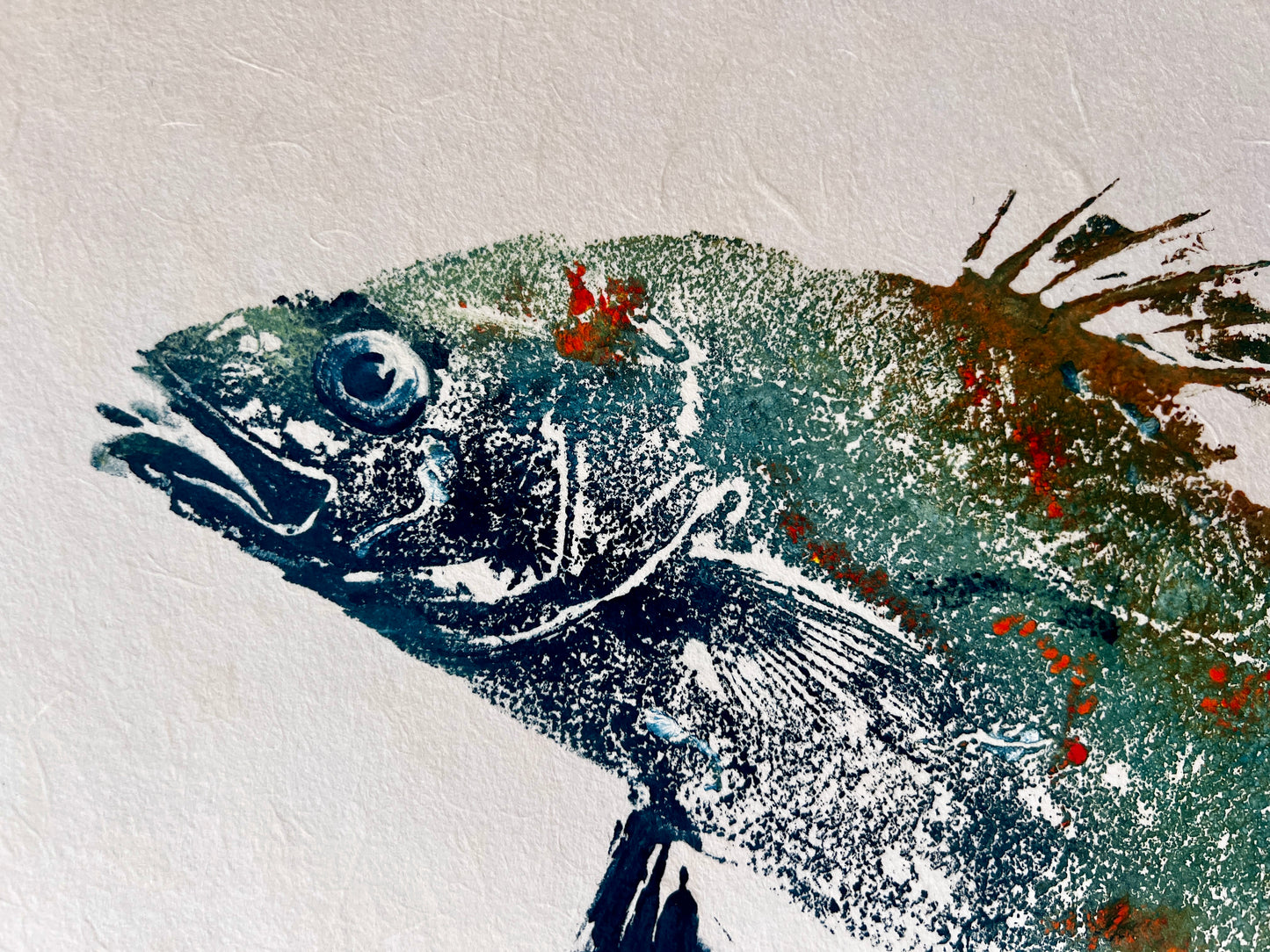 Anglesey Sea Bass Gyotaku