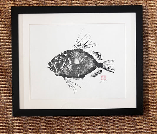 Framed Cornish John Dory Gyotaku Print