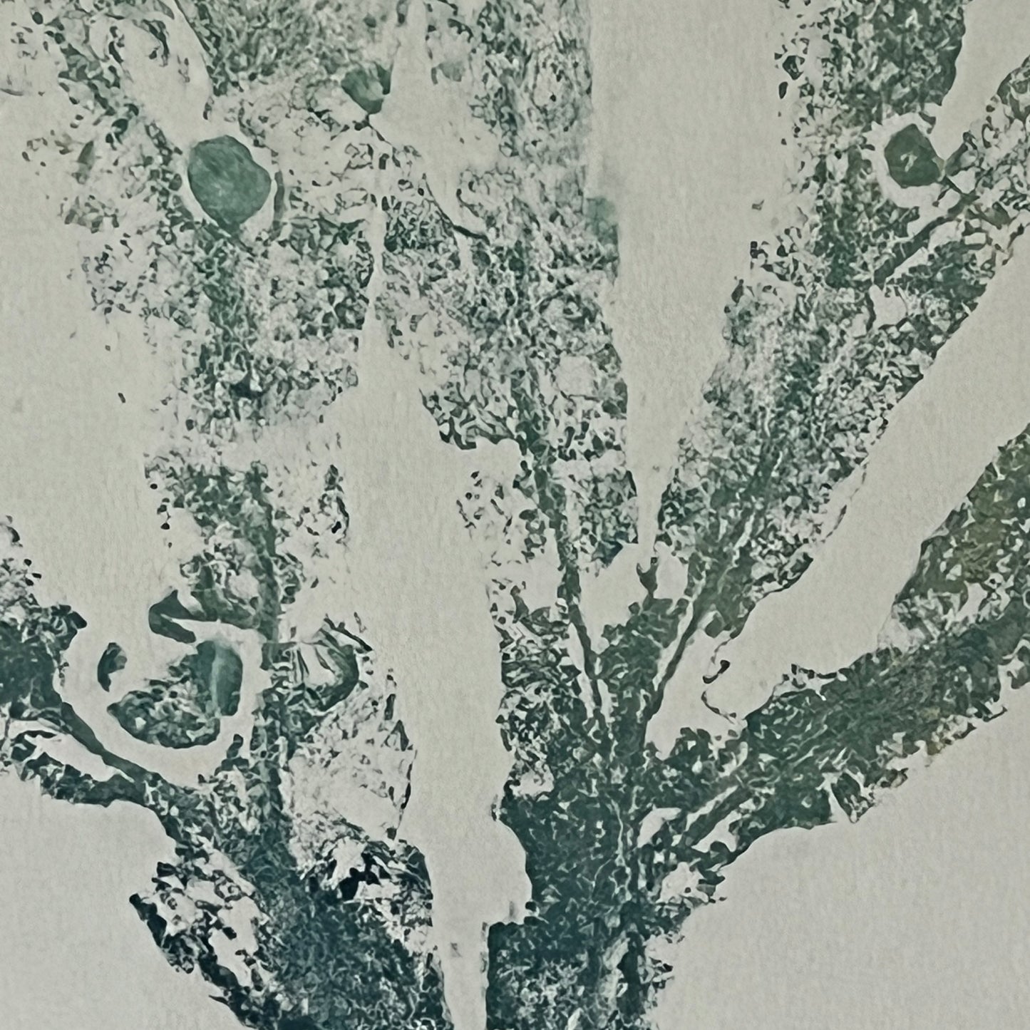 Seaweed and Shells Gyotaku in Blue and Gold Ink Portrait