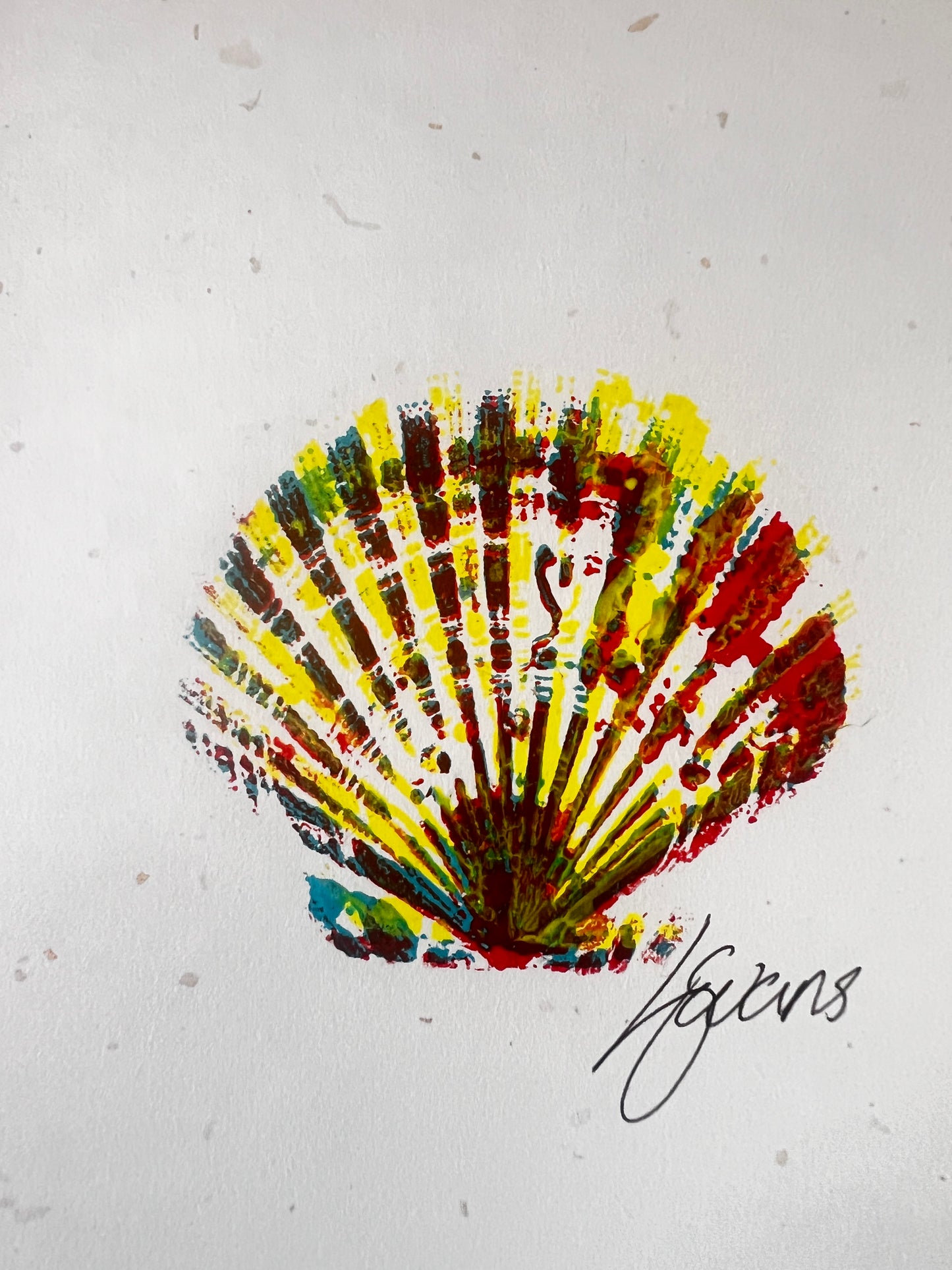 Small Scallop Shell Gyotaku