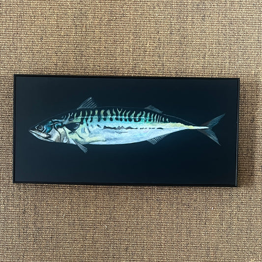 Mackerel Acrylic on Board (Framed)