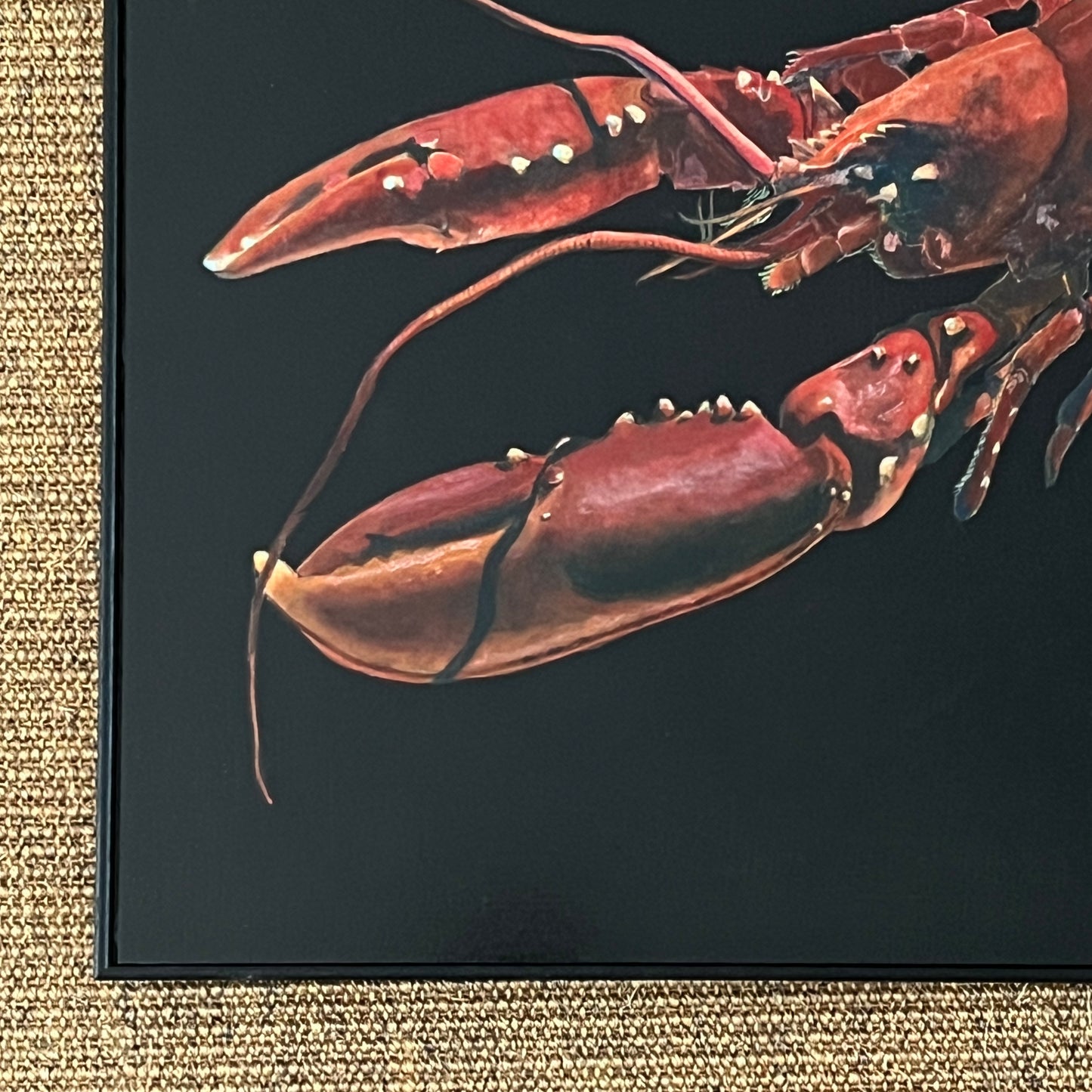 Lobster Acrylic on Board (Framed)