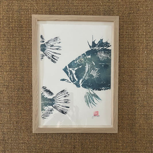 Framed John Dory – Gyotaku Print A3
