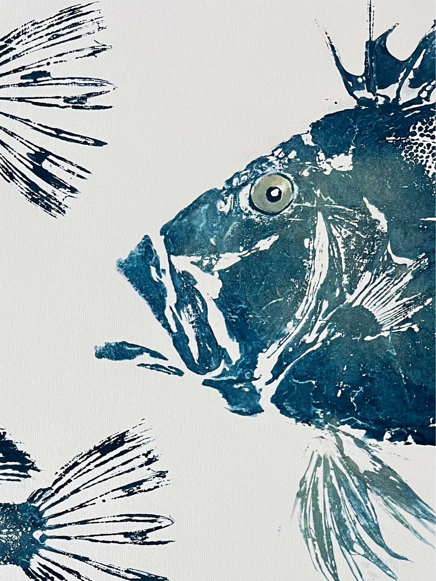 John Dory – Gyotaku Print A3