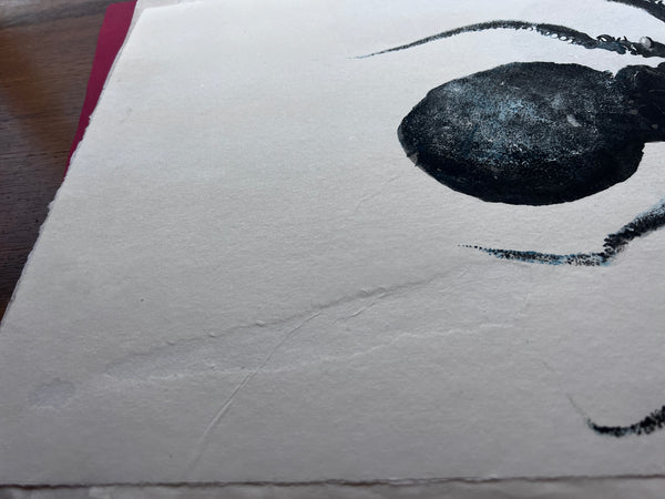 Gyotaku impression taken from the surface of an Octopus