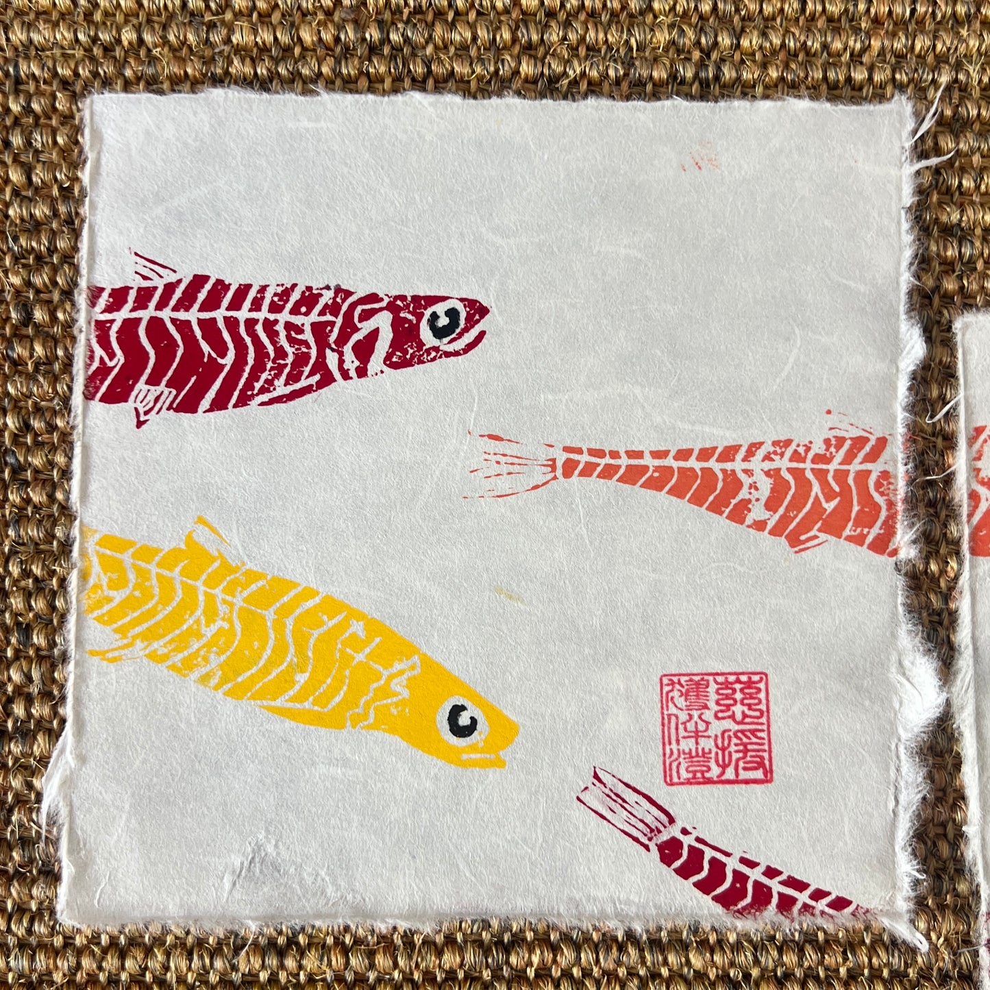 6 x 6 Inch Anchovy Triptych – Linotaku Marine Wall Art
