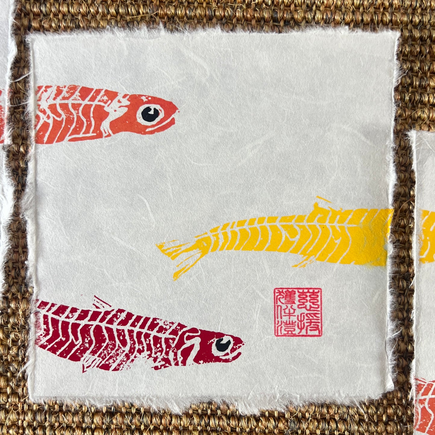 6 x 6 Inch Anchovy Triptych – Linotaku Marine Wall Art