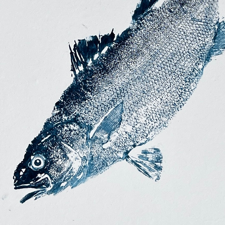 Anglesey Sea Bass Gyotaku