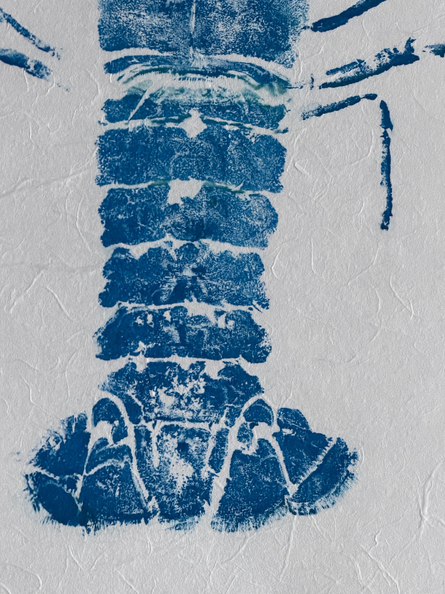 Menai Strait Lobster, Gyotaku Printed in Red ink. (Copy)