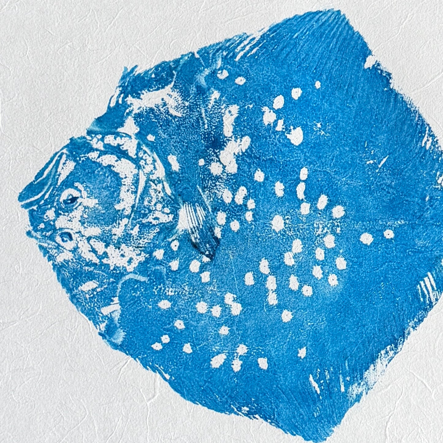 Turbot Gyotaku – Bright Blue