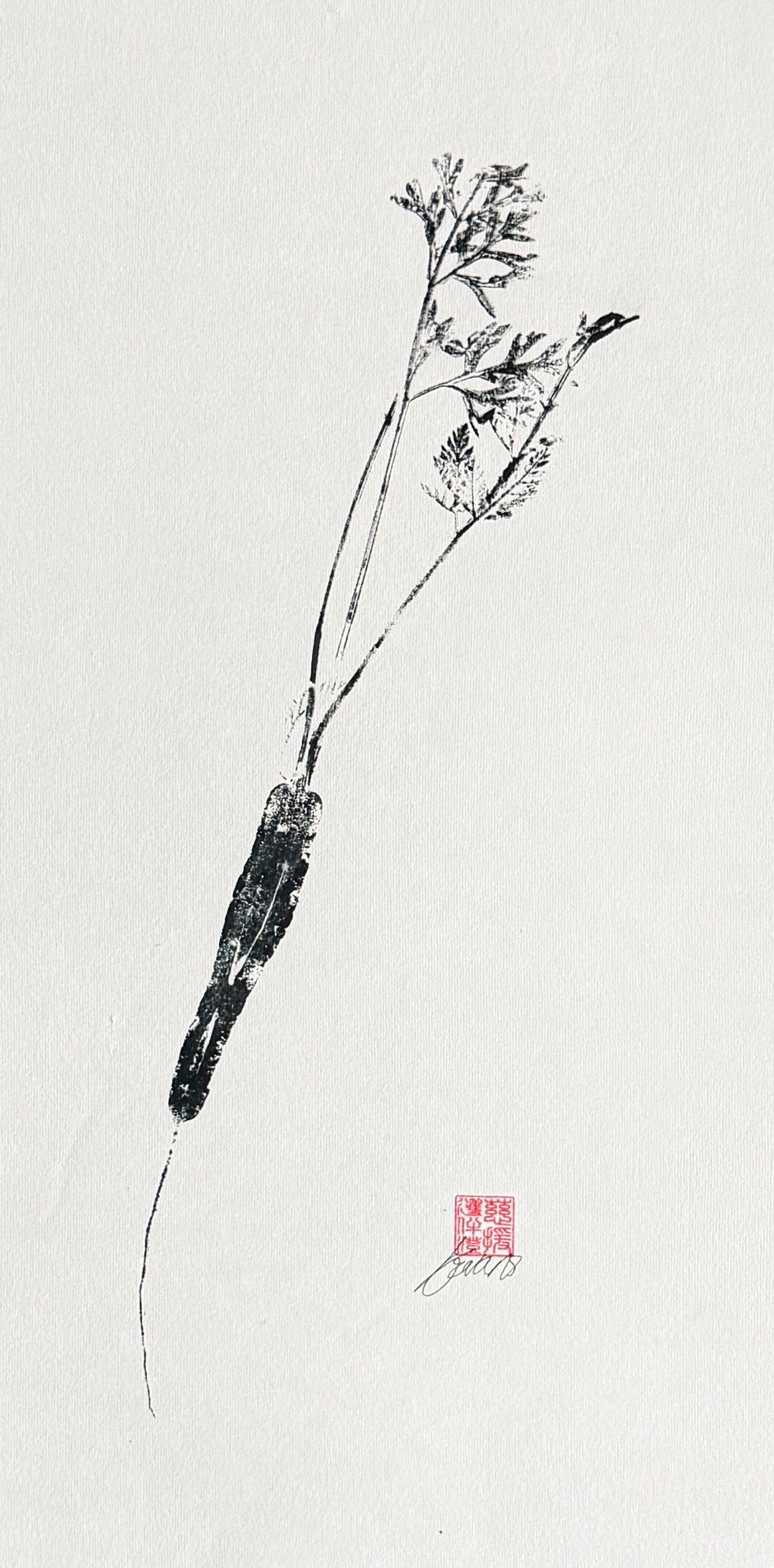 Carrot Gyotaku – Black Ink