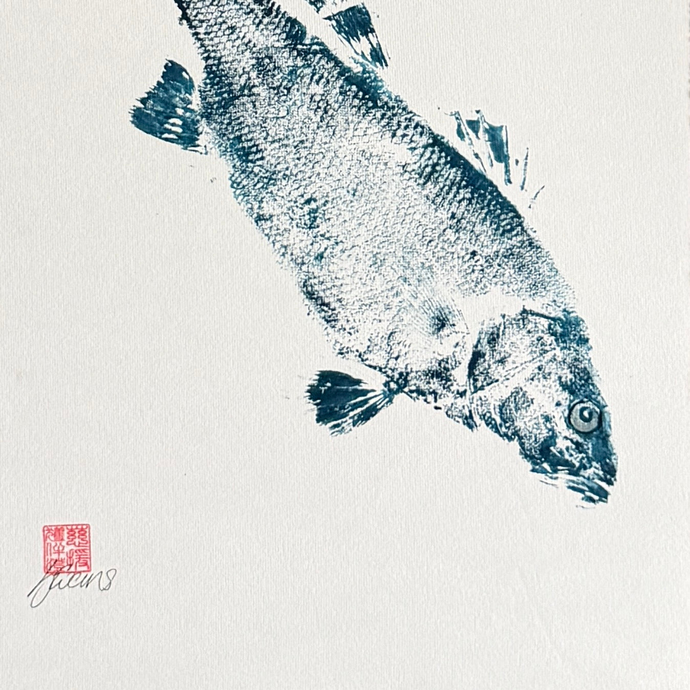 Menai Strait Line Caught Sea Bass Gyotaku.