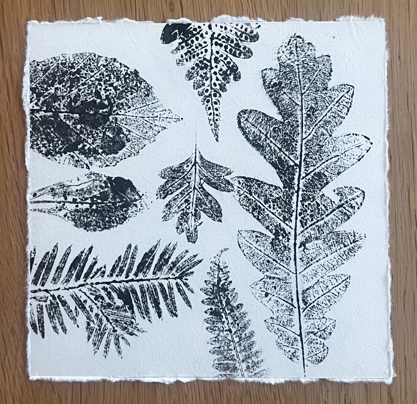 Coed Cyrnol Leaf Print – Black Ink on Thai Mulberry Paper