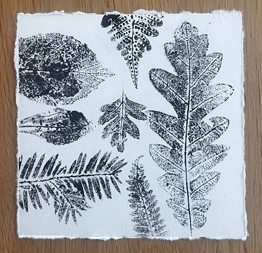 Coed Cyrnol Leaf Print – Black Ink on Thai Mulberry Paper