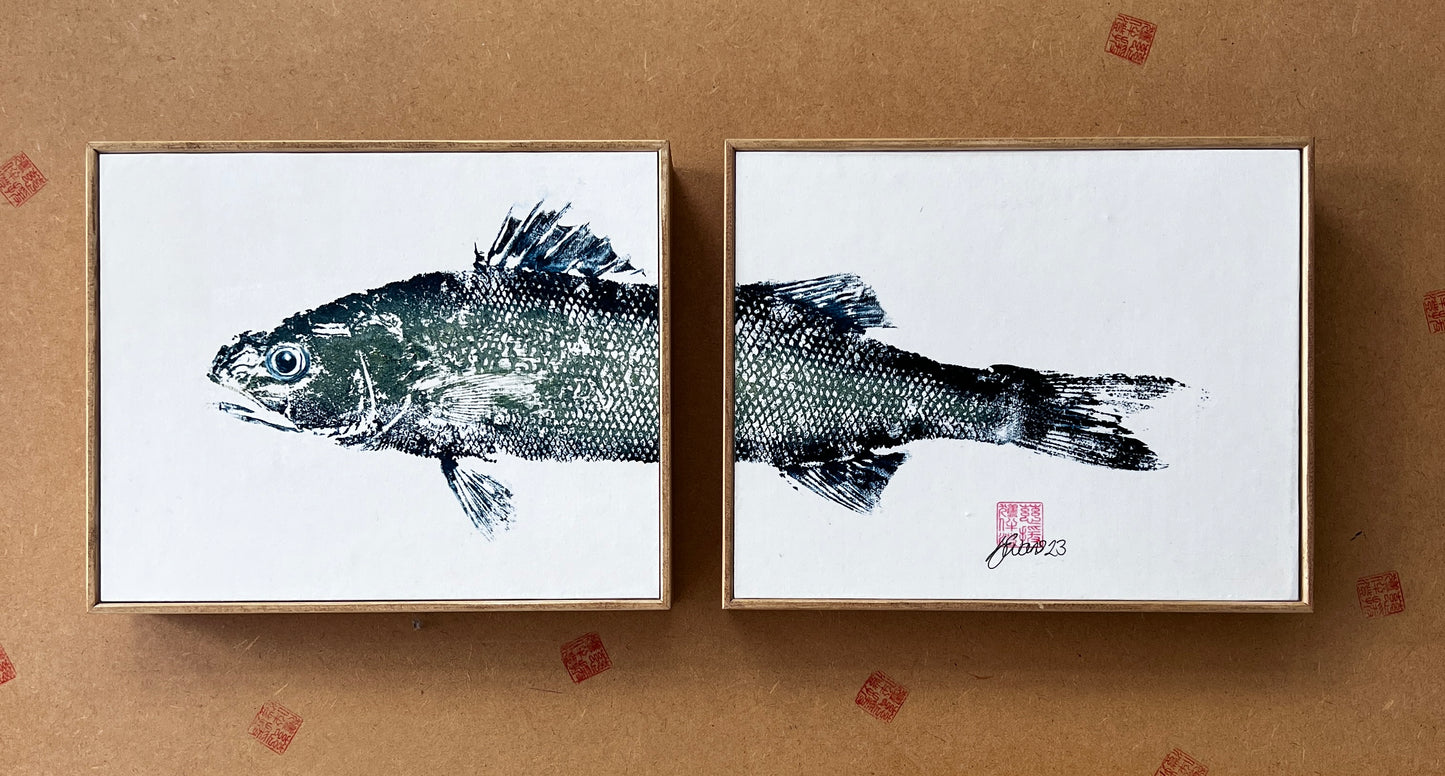 Anglesey Sea Bass Diptych Gyotaku Print