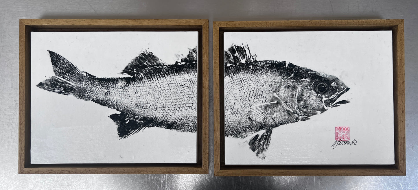 Diptych of Anglesey Sea Bass Gyotaku