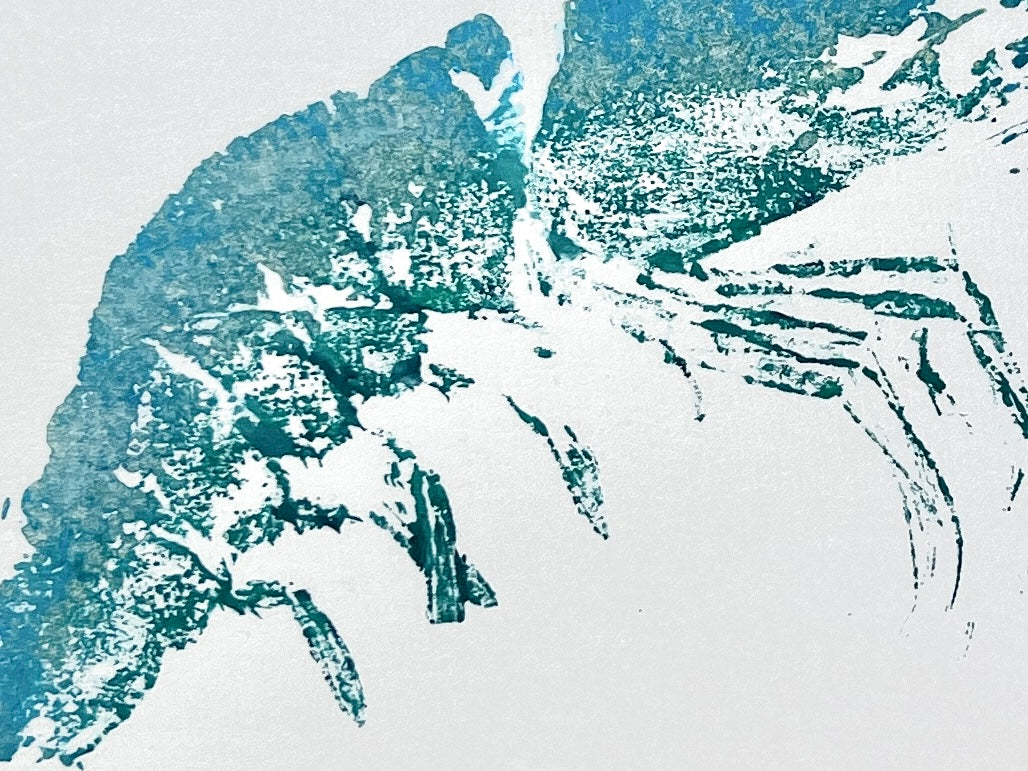 Gyotaku Impression taken from the surface of a Large Prawn