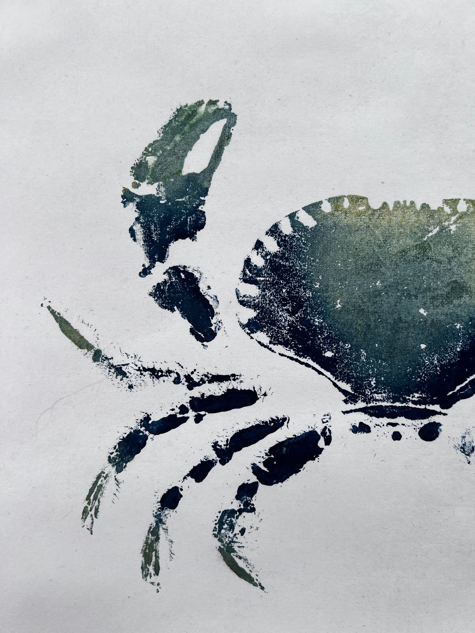 Gyotaku impression taken from the surface of an Anglesey Crab