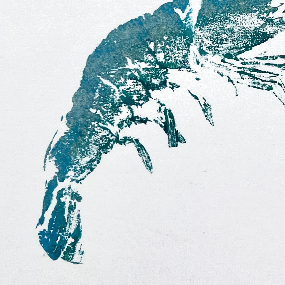 Gyotaku Impression taken from the surface of a Large Prawn