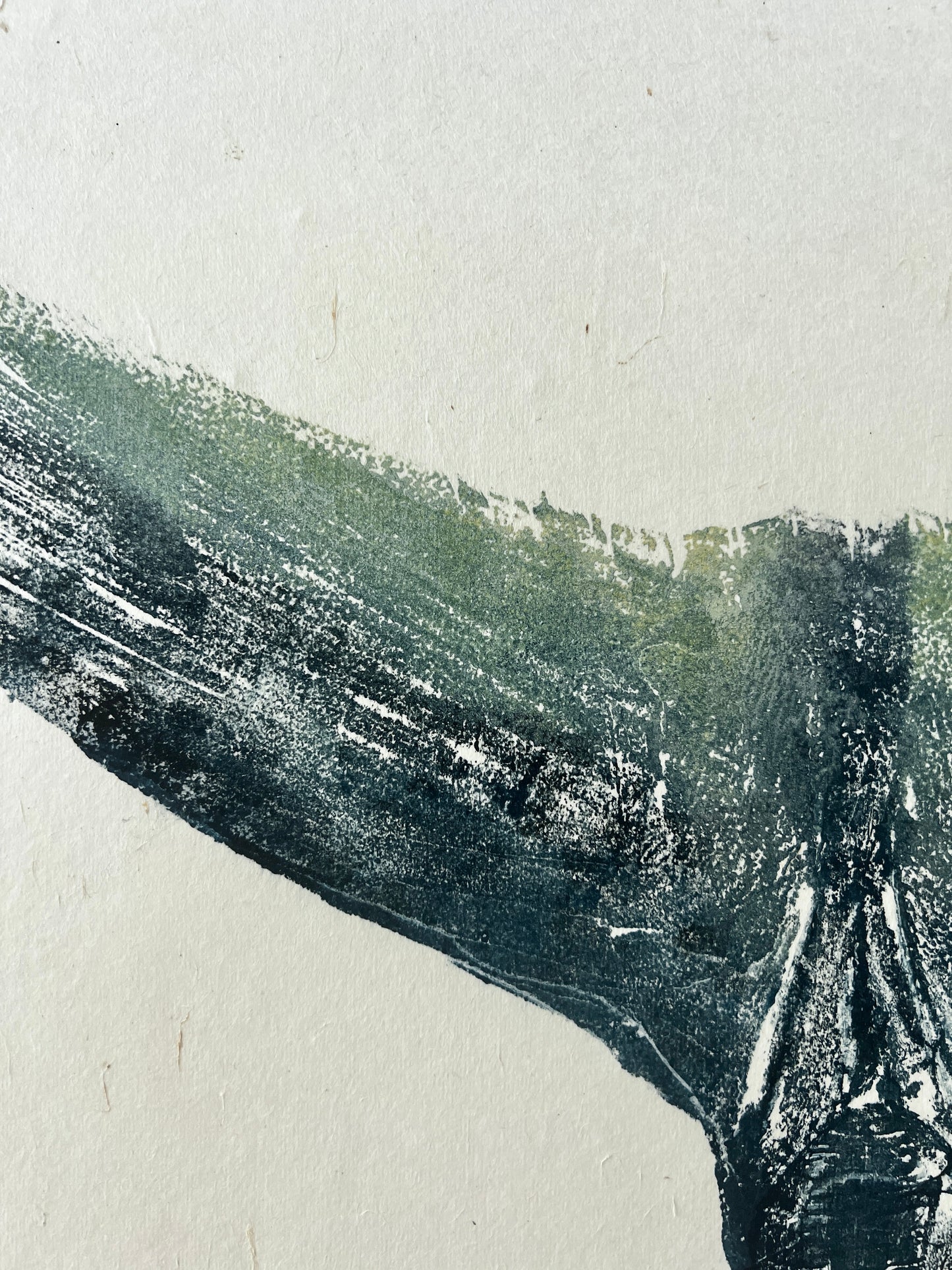 Gyotaku impression taken from a Blue Fin Tuna Tail