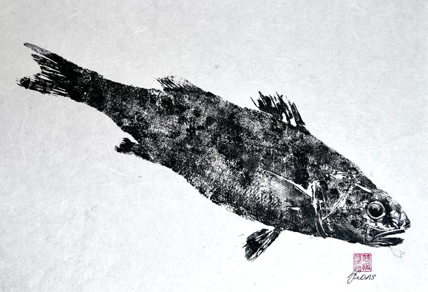 Menai Strait, Line Caught Sea Bass Gyotaku Printed and Wet Mounted.