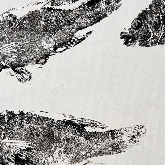 Wrasse Gyotaku Print in Black Ink