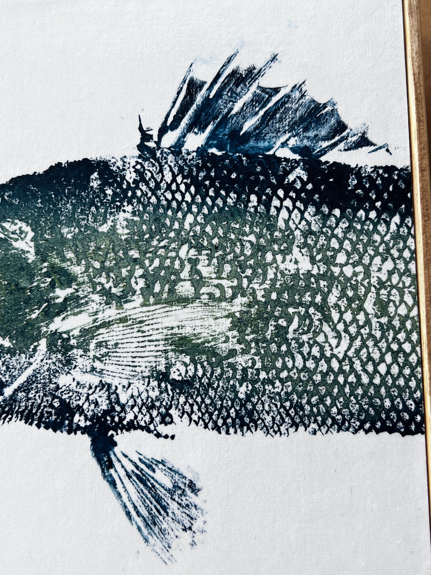 Anglesey Sea Bass Diptych Gyotaku Print