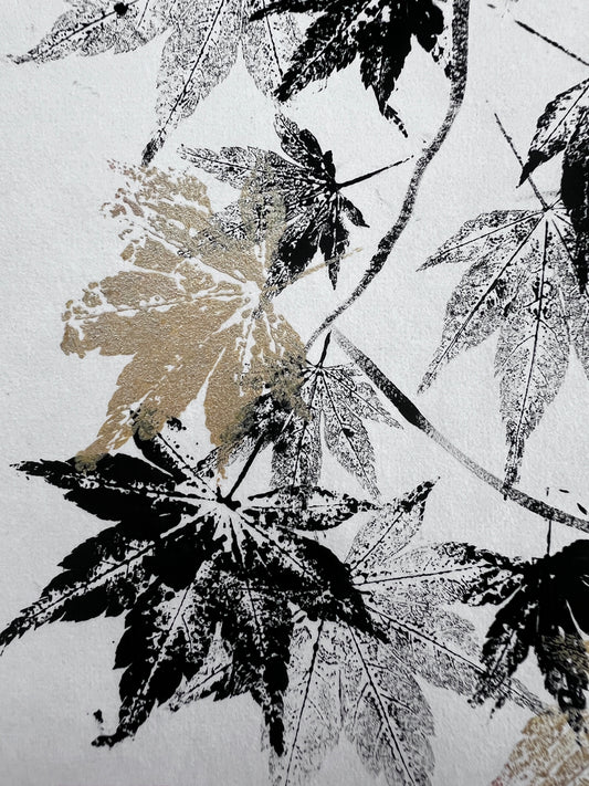 Acer Gyotaku