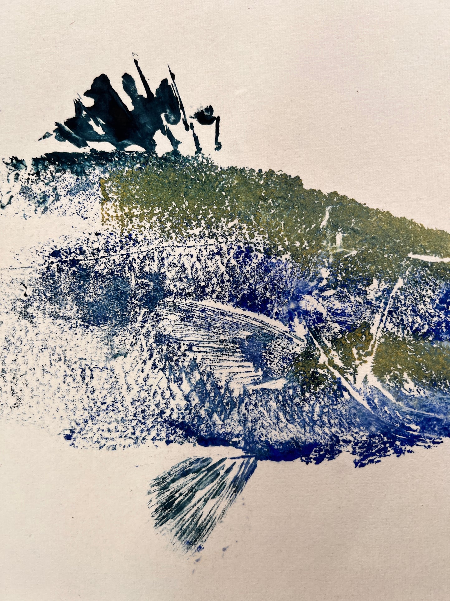 Menai Strait, Line Caught Sea Bass Gyotaku Printed and Wet Mounted.