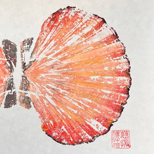Scallop Shell Gyotaku Print with Mount.