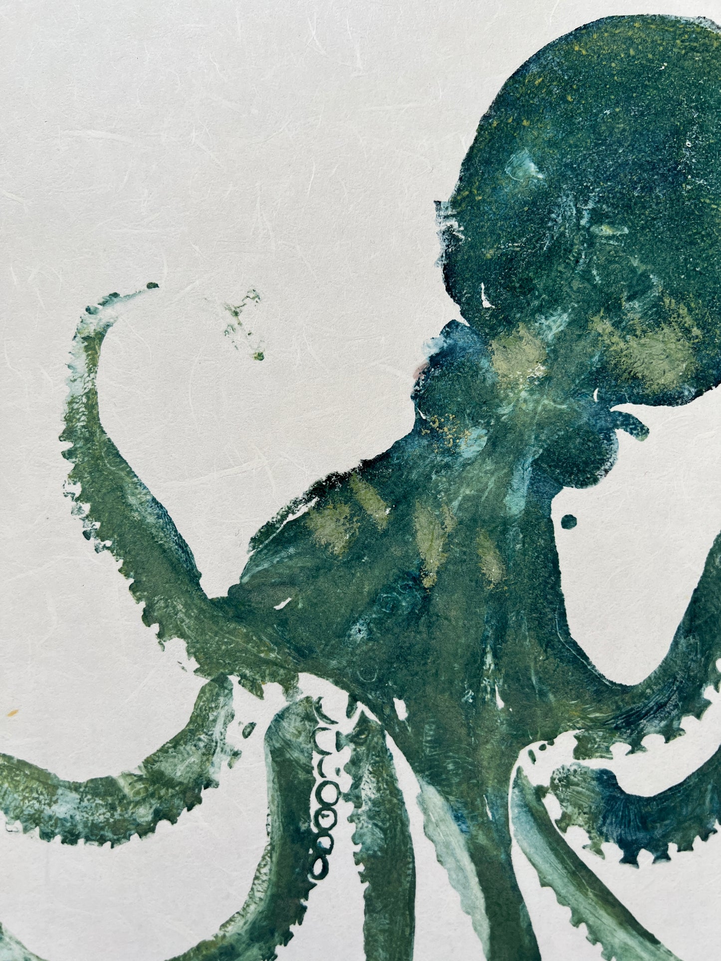 Octopus Gyotaku Printed and Wet Mounted.