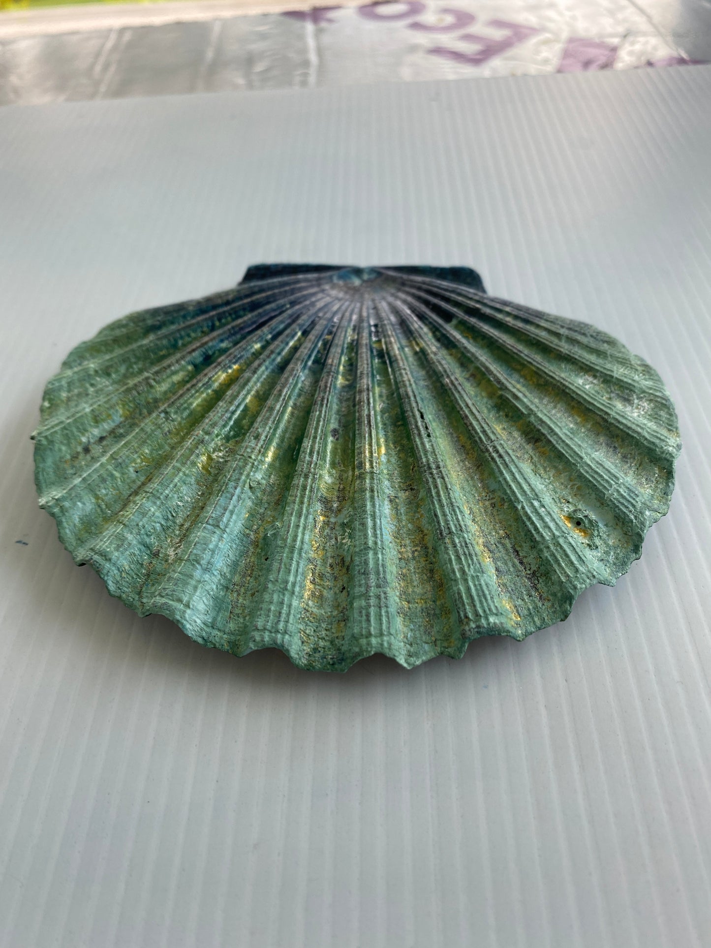 Scallop Shell Gyotaku Print, Wet Mounted