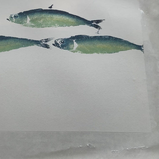 Anglesey North Wales Fish Print Sardines