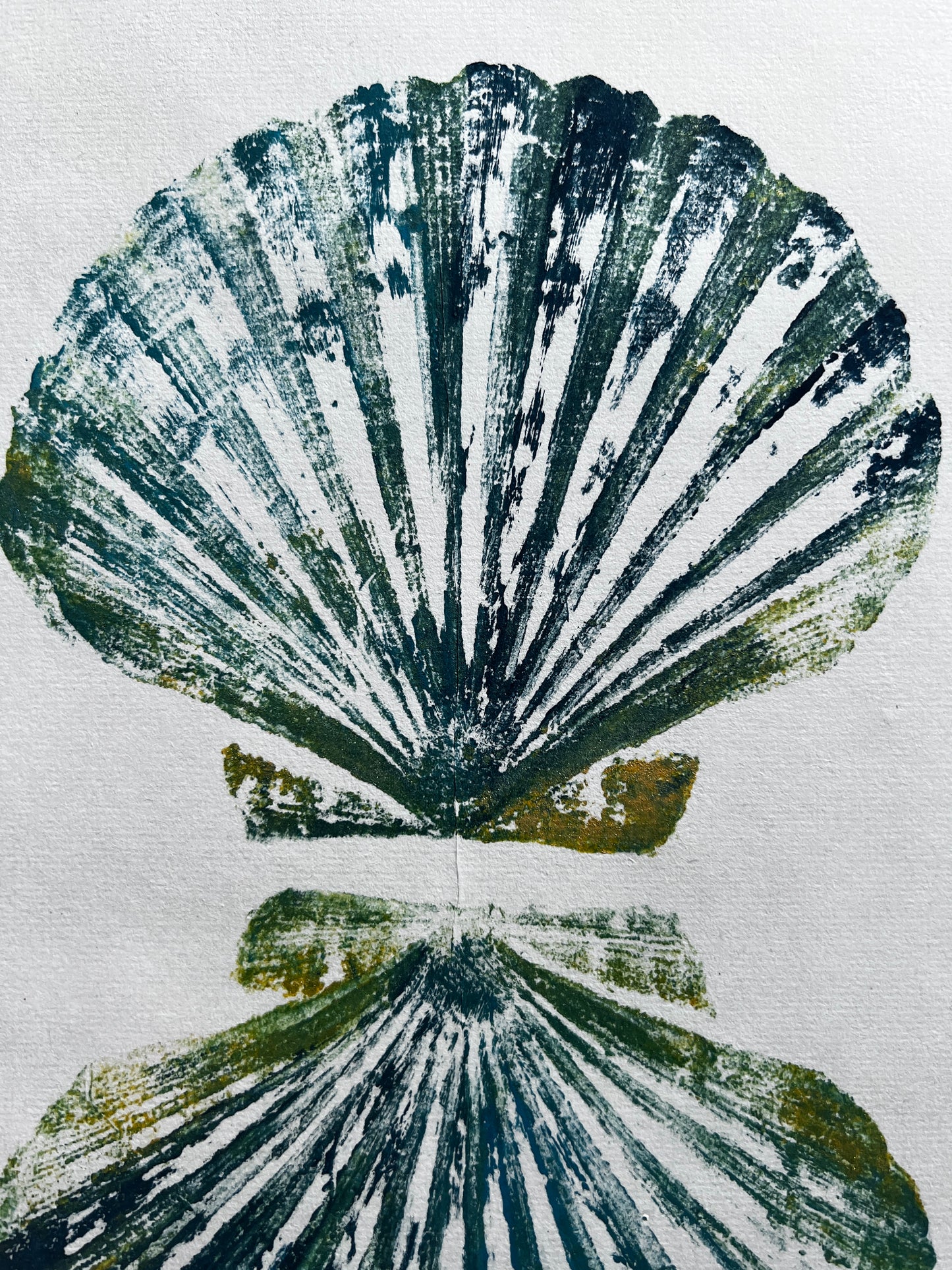 Scallop Shell Gyotaku Print, Wet Mounted