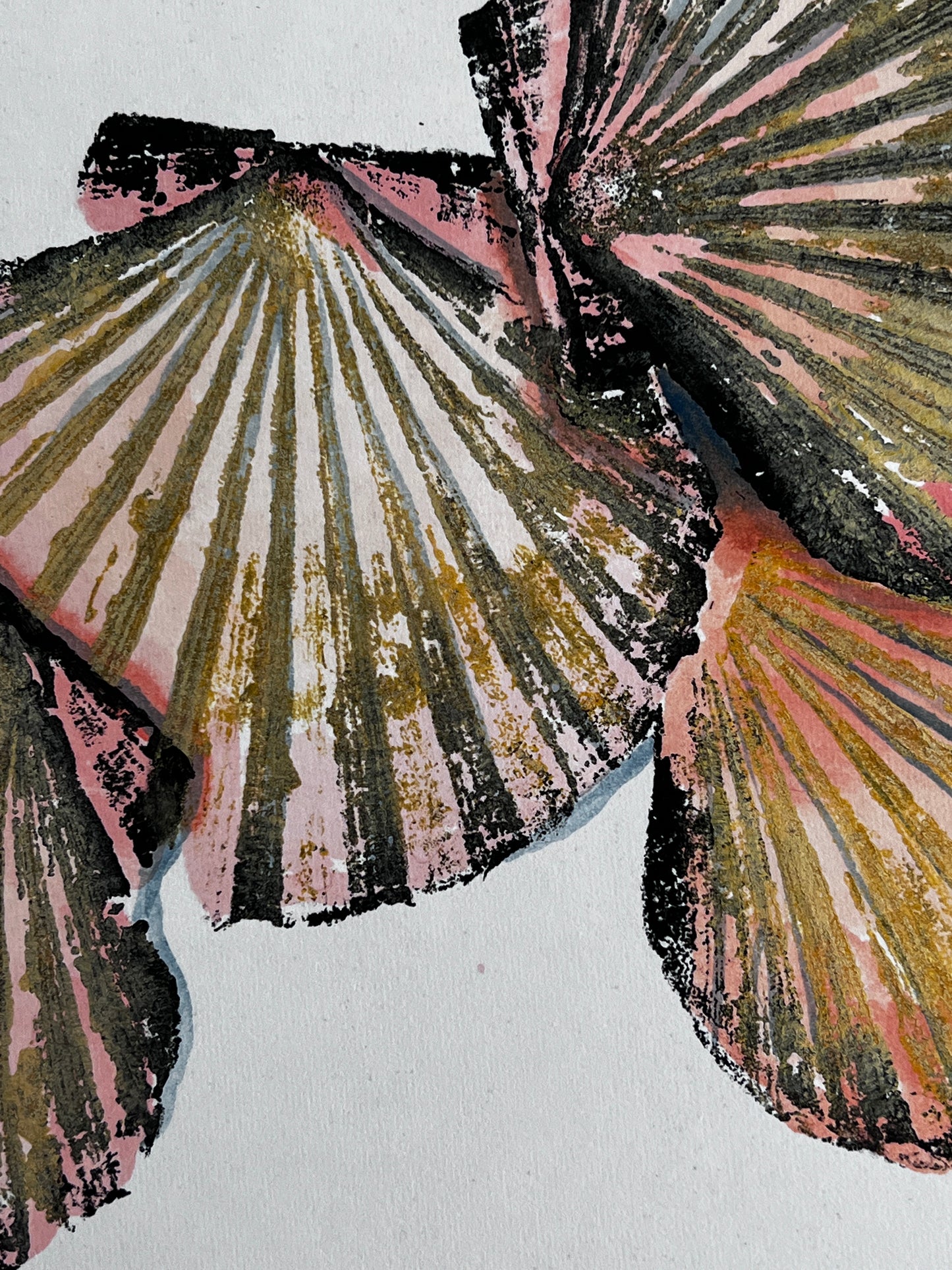 Hand Painted Multiple Scallop Shell Gyotaku Print,  Wet Mounted