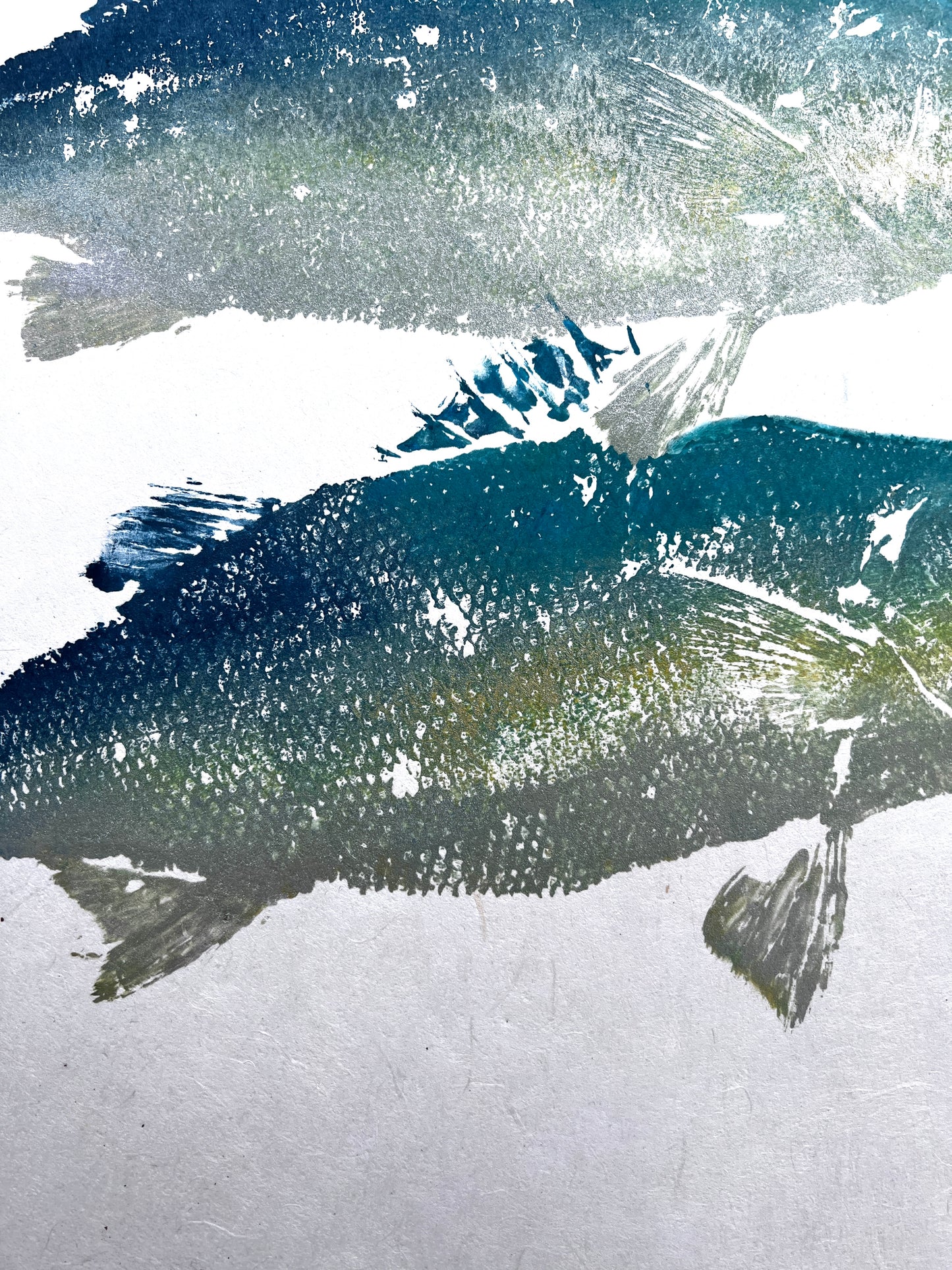 Menai Strait, Line Caught Sea Bass Gyotaku Printed and Wet Mounted.