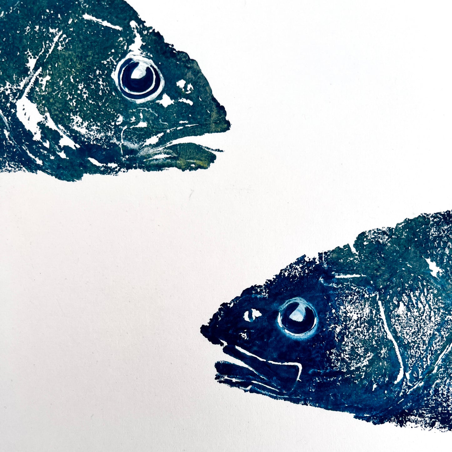 Menai Strait, Line Caught,  Sea Bass Heads Duo Gyotaku Printed and Wet Mounted.