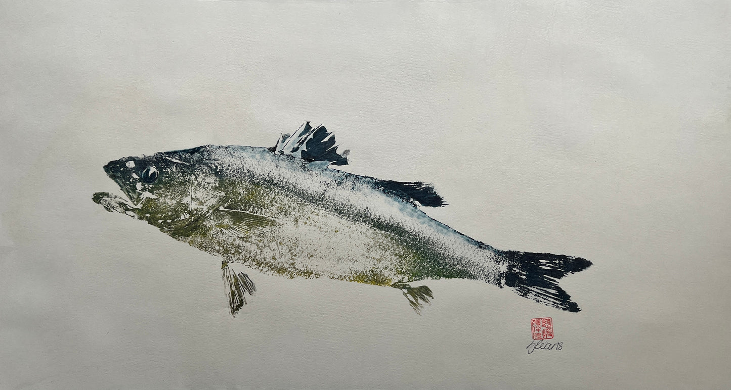 Menai Strait, Line Caught Sea Bass Gyotaku Printed and Wet Mounted.