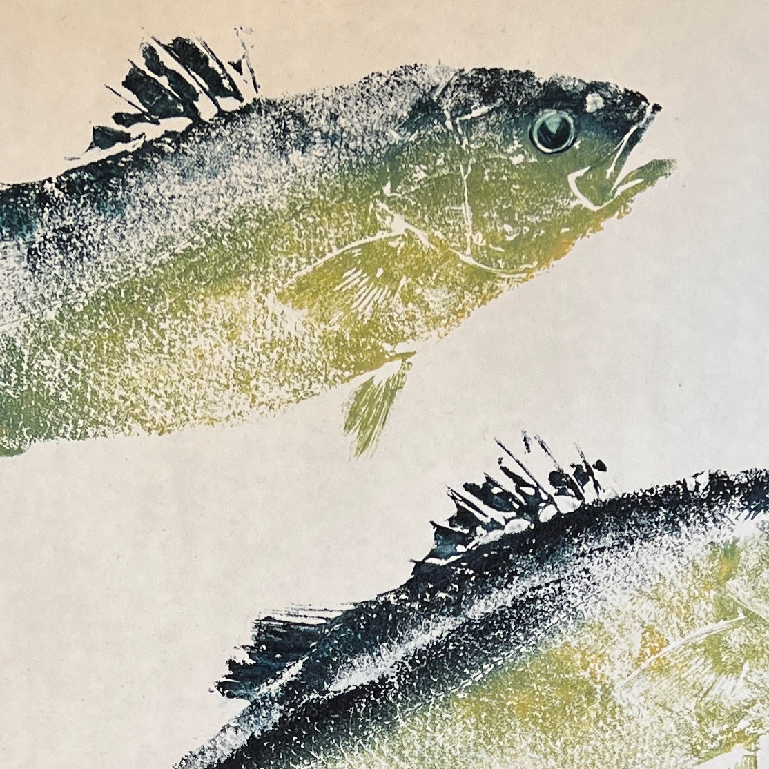 Menai Strait, Line Caught Sea Bass Gyotaku Printed and Wet Mounted.