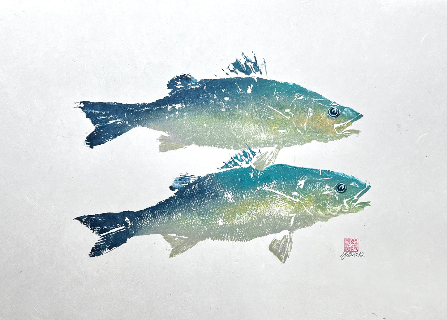 Menai Strait, Line Caught Sea Bass Gyotaku Printed and Wet Mounted.